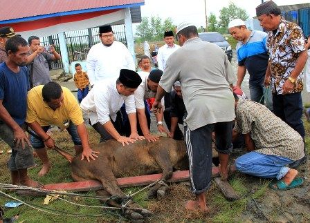 Wali Kota & Keluarga Kurban Di Masjid Amaliyah & Kelurahan Nelayan Indah
