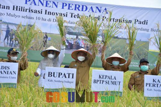 Panen Perdana di Serbajadi, Bupati Sergai Imbau Petani Gunakan Pupuk Non-subsidi