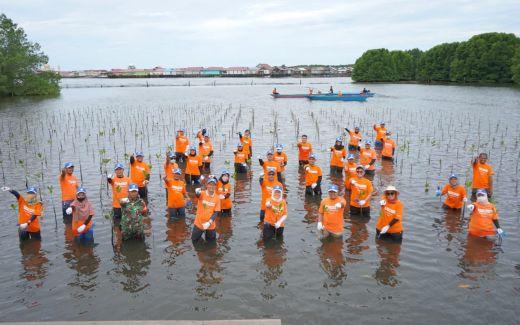Hari Keanekaragaman Hayati Sedunia, PKT Tanam 1.500 Bibit Mangrove di Perairan Bontang