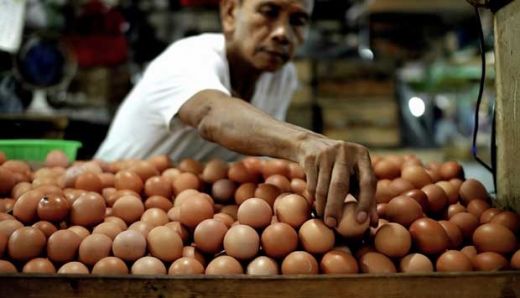 Kenaikan Daging & Telur Ayam Berpeluang Menambah Tekanan Inflasi