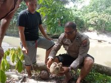 Polres Padangsidimpuan Olah TKP Penemuan Tengkorak Manusia di Pinggir Sungai