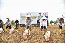 Kolaborasi Wujudkan Kedaulatan Pangan, Gubernur Edy Bersama Wamen Pertanian Tanam Jagung di Lahan TNI di Pancur Batu