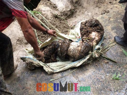 Sebulan Menghilang, Marga Damanik Ditemukan Membusuk di Sungai Bah Bolon