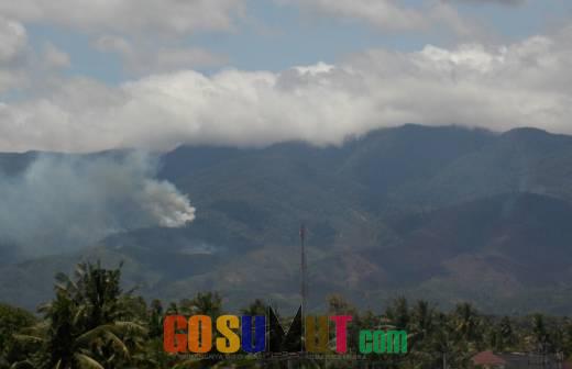 Titik Api di Kawasan Hutan Marga Satwa Palas Sulit Dipadamkan