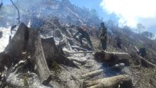 Akibat Kebakaran, Kerusakan Lingkungan di Aceh Tengah Kian Parah