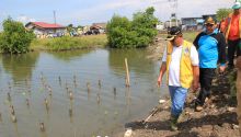 Wakil Wali Kota Ikut Tanam 3000 Batang Mangrove