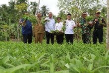 Pj Walikota Lhokseumawe Tinjau Kawasan Agro Wisata dan Industri Aceh Milenium