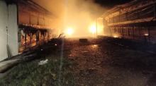 Tabung Gas Meledak, Peternakan Ayam di Deliserdang Ludes Terbakar