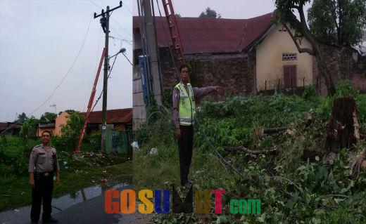 Pohon Tumbang, Polisi Amankan Perbaikan Jaringan PLN