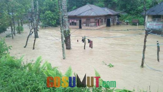 Puluhan Rumah Warga di Sosopan Terendam Banjir