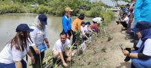 PT PNM dan KTH Bakti Nyata Tanam Mangrove: Merawat Bumi, Menjaga Kelangsungan Hidup