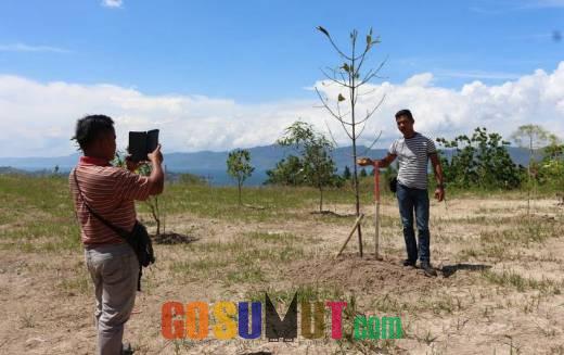 Pohon yang Ditanam Jokowi Terancam Mati