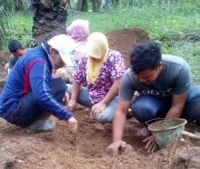 Balai Arkeologi Sumut dan BPCB Aceh Riset dan Ekskavasi di Lokasi Biaro Candi Sangkilon