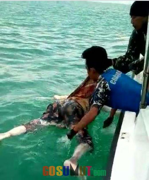 Polairud Polres Sergai Bersama KPLP dan TNI AL  Evakuasi Penemuan Mayat Mr X yang Mengapung Di Laut
