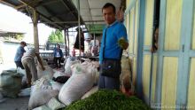 Harga Cabai Rawit dan Hijau di Pasar Dairi Anjlok, Merah Normal