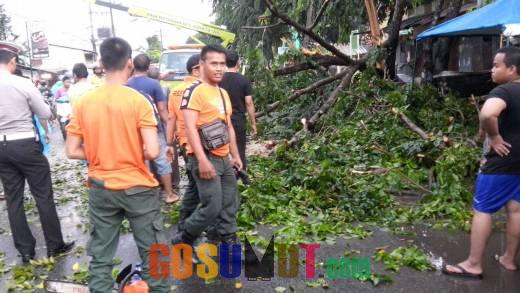 Akibat Pohon Tumbang di Jalan Panglima Denai, Arus Lalu Lintas Macet