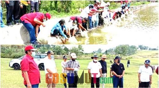 DPRD Samosir Bersama Bupati dan OPD Tabur Benih Ikan di Danau Sodihoni