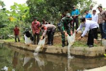 Perkuat Ketahanan Pangan Masyarakat, Korem 011 Lilawangsa Sumbang 30 Ribu Bibit Ikan Nila