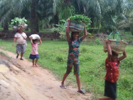 Kades Lau Damak Usulkan Pengerasan Jalan Penghubung Dusun
