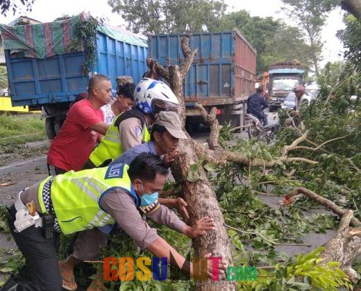 Kanit Turjawali Bersama Warga Evakuasi Pohon Tumbang di Jalinsum Sergai
